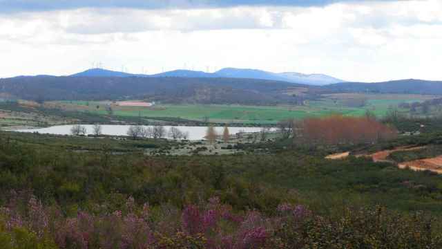 Castilla y León