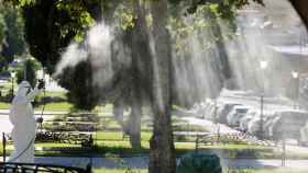 Un operario fumiga unos jardines en La Puebla del Río.