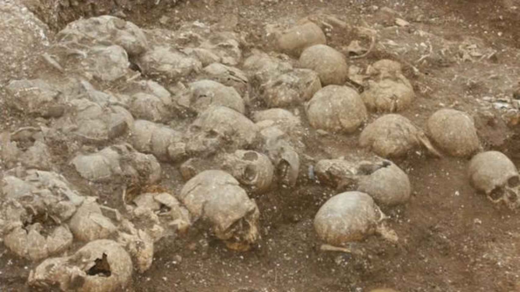 Los cráneos decapitados de los 51 cuerpos hallados.