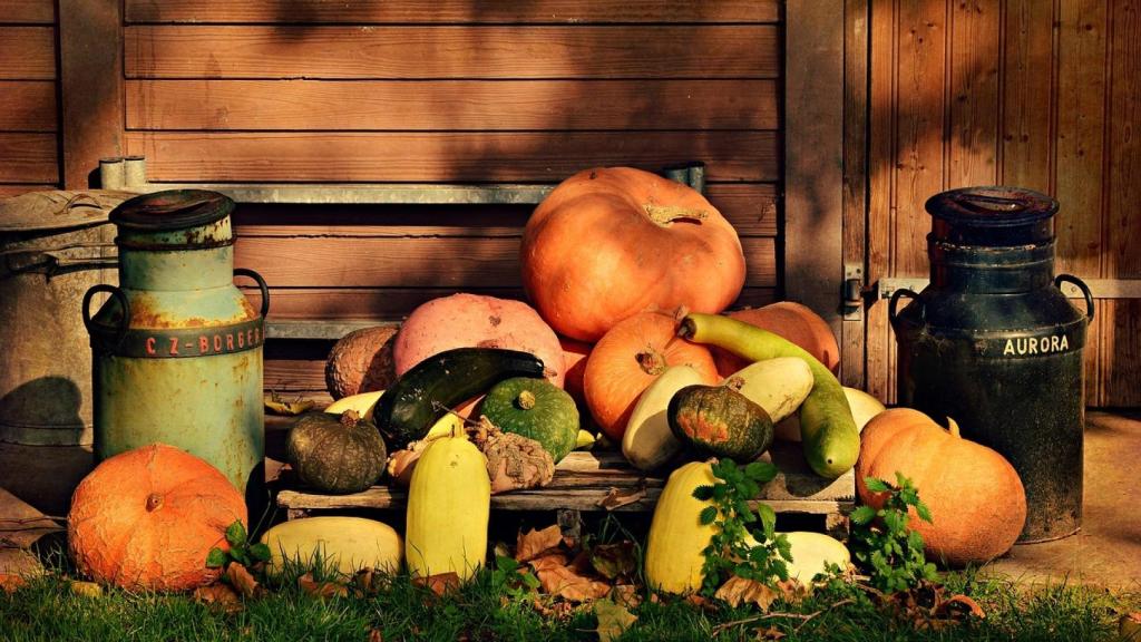 Varios tipos de calabaza.