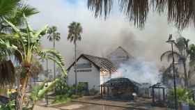 El incendio ha arrasado el club marbellí de Rosauro Varo.