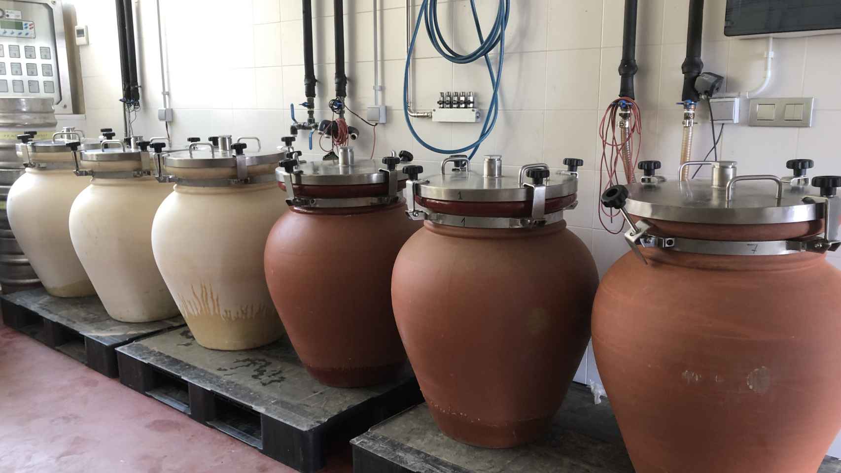 Las tinajas de barro, una alternativa rescatada de la historia para  elaborar vinos de calidad