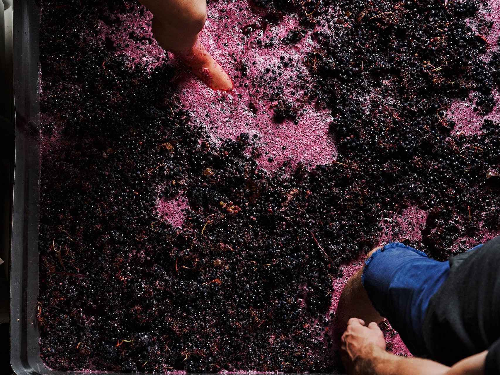 Los vinos con maceración carbónica también se llaman 'de cosechero'.