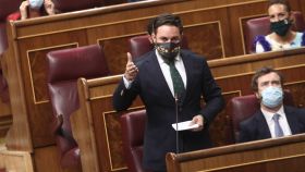 El líder de Vox, Santiago Abascal,  en la sesión de control al Gobierno en el Congreso.