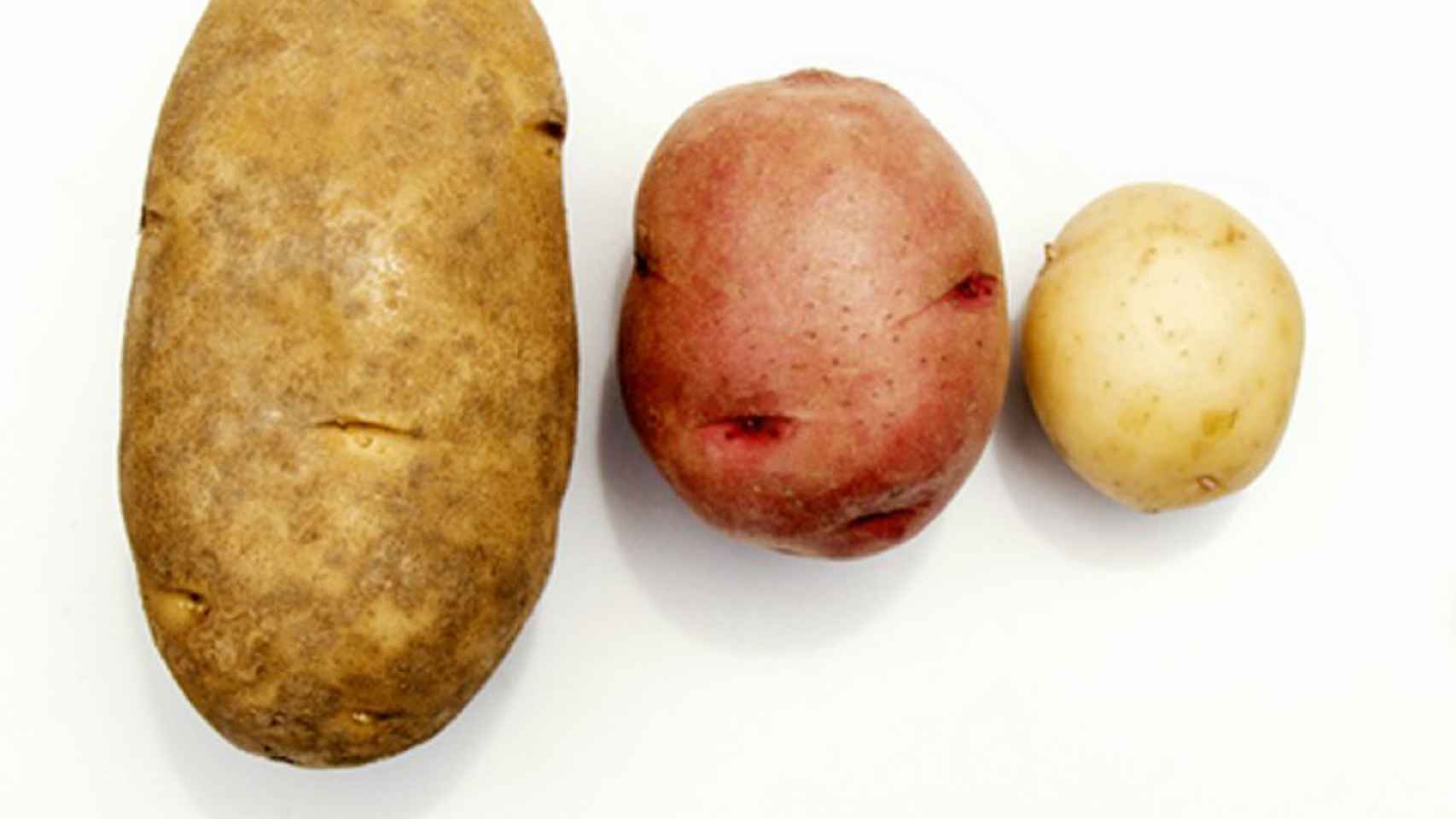 Tres tipos de patata: Kennebec, roja y nueva.