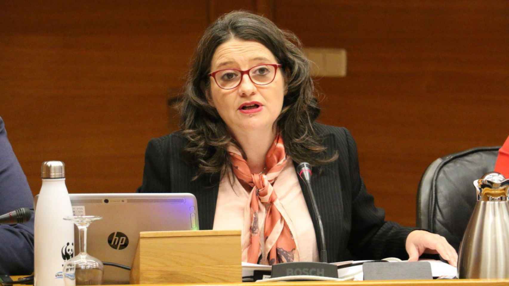 Mónica Oltra, vicepresidenta de la Generalitat Valenciana y consejera de Igualdad. EE