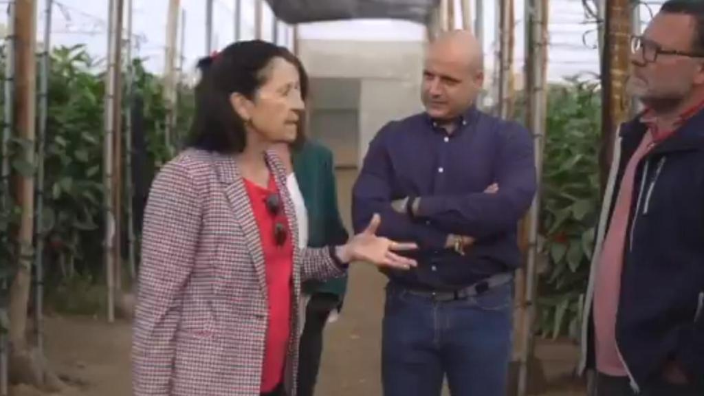 Rodrigo Alonso, diputado andaluz y presidente de la gestora de Vox en Almería, durante una visita a unos invernaderos agrícolas