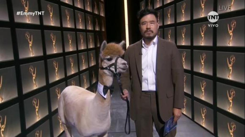La alpaca.