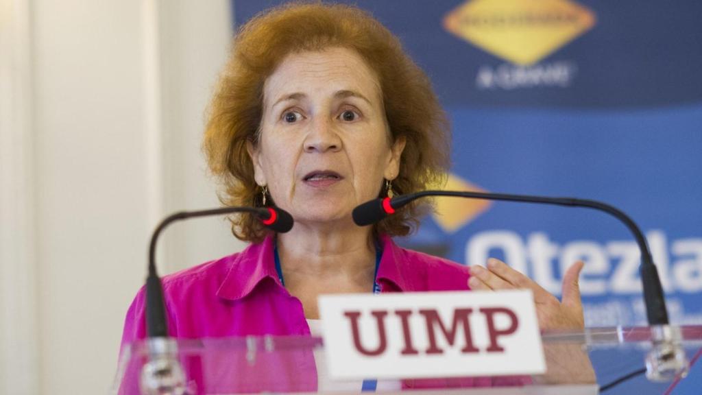 Margarita del Val durante una charla en los cursos de verano de la UIMP.