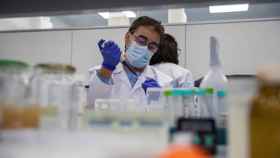 Científicos trabajan con polillas en la nueva factoría de la empresa ALGENEX, dedicada a la producción de vacunas.