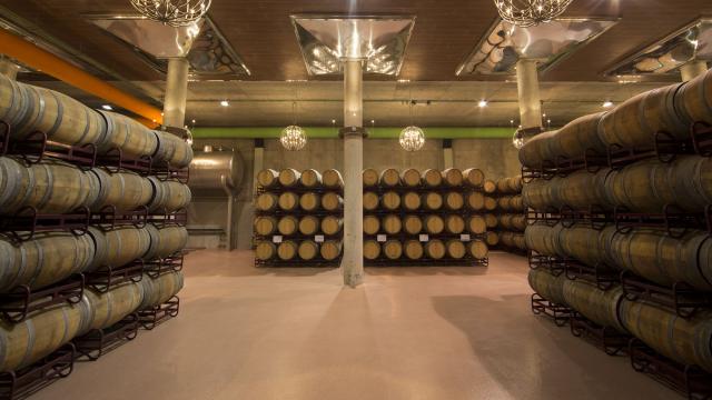 Imagen de archivo de barricas de vino.
