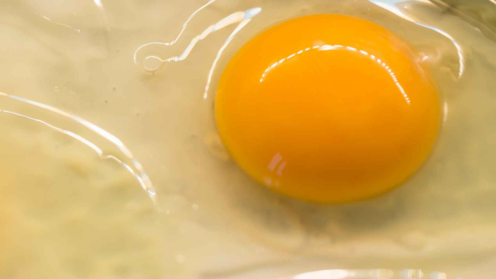 El huevo tiene una gran cantidad de nutrientes, pocas calorías y grasa saludable.