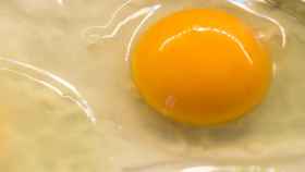 El huevo tiene una gran cantidad de nutrientes, pocas calorías y grasa saludable.