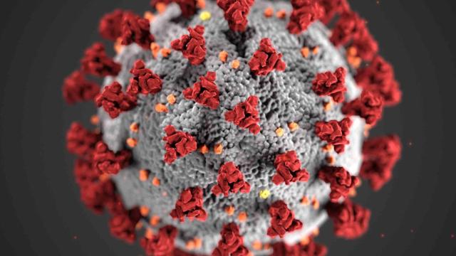 Representación del nuevo coronavirus SARS-CoV-2.