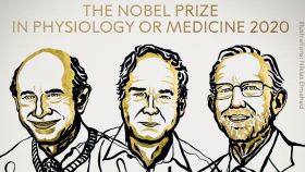 Los descubridores del virus de la Hepatitis C, Premio Nobel de Medicina 2020
