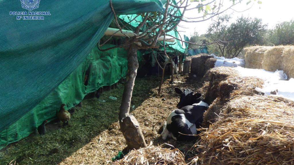 Imagen de la granja existente en la finca.