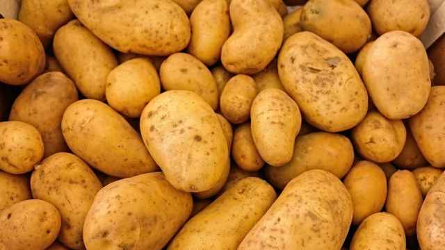 La patata es uno de los alimentos más saciantes y el aporte calórico dependerá de cómo la cocinemos.