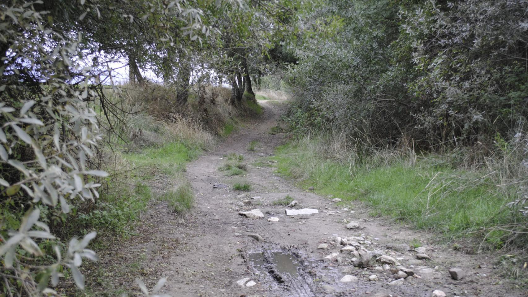 Por la Vía de la Plata, al encuentro de calzadas, miliarios y fortines romanos 1