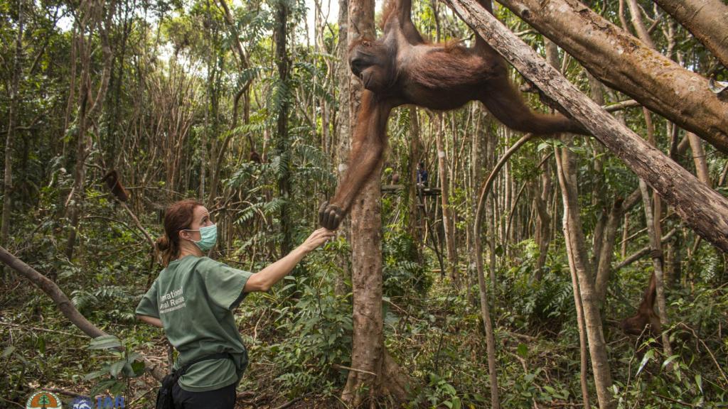Karmele Llanos y un orangután.