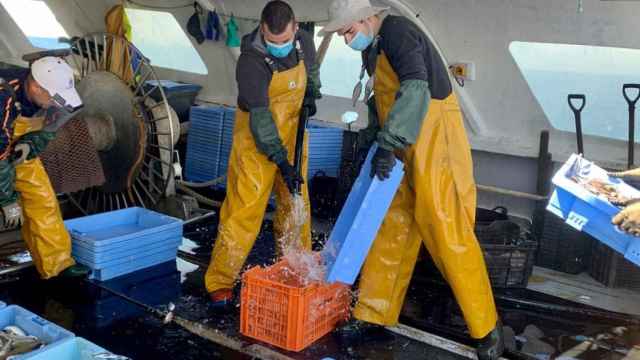 El sector pesquero insiste en reducir el IVA del pescado al 4% para aliviar la crisis