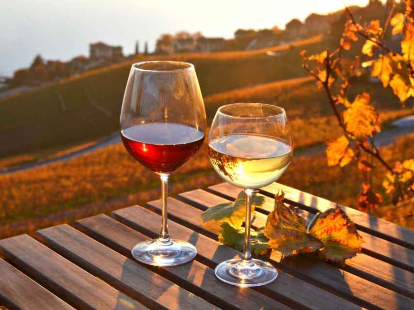 Los mejores vinos para la temporada otoñal.