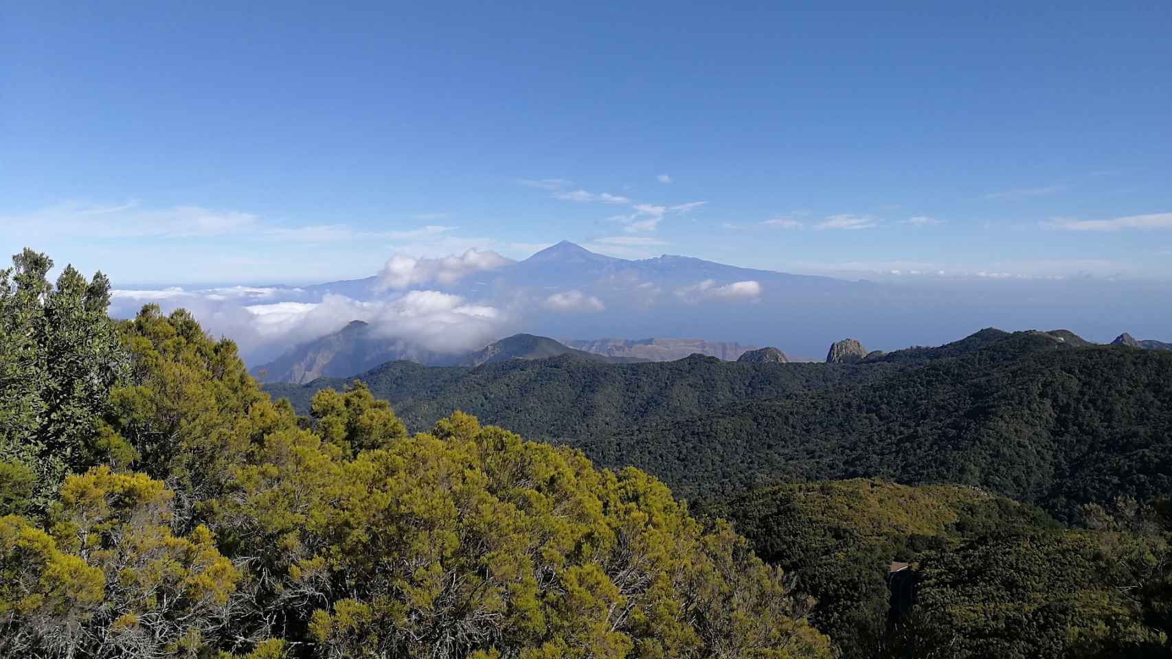Parque Nacional de Garajonay en La Gomera.