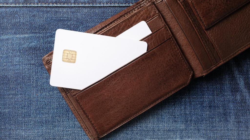 Las carteras RFID para proteger tus tarjetas robos