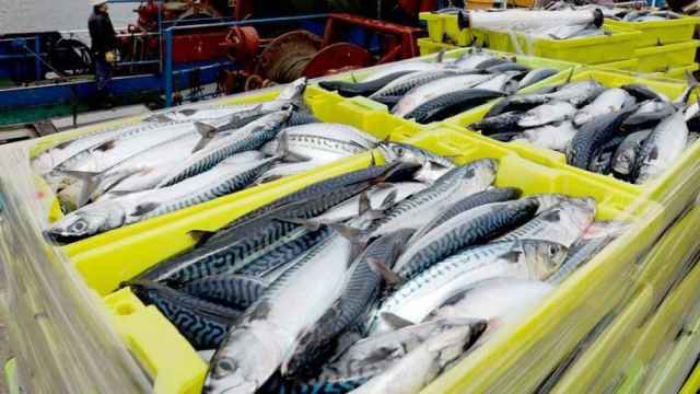 Carrefour refuerza su apuesta por el sector pesquero con un triple acuerdo