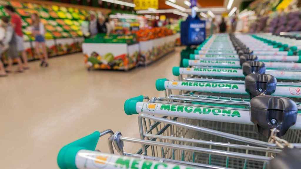 Carritos de la compra de Mercadona, que este año ocupa la posición 15 en de los supermercado más baratos según la OCU.