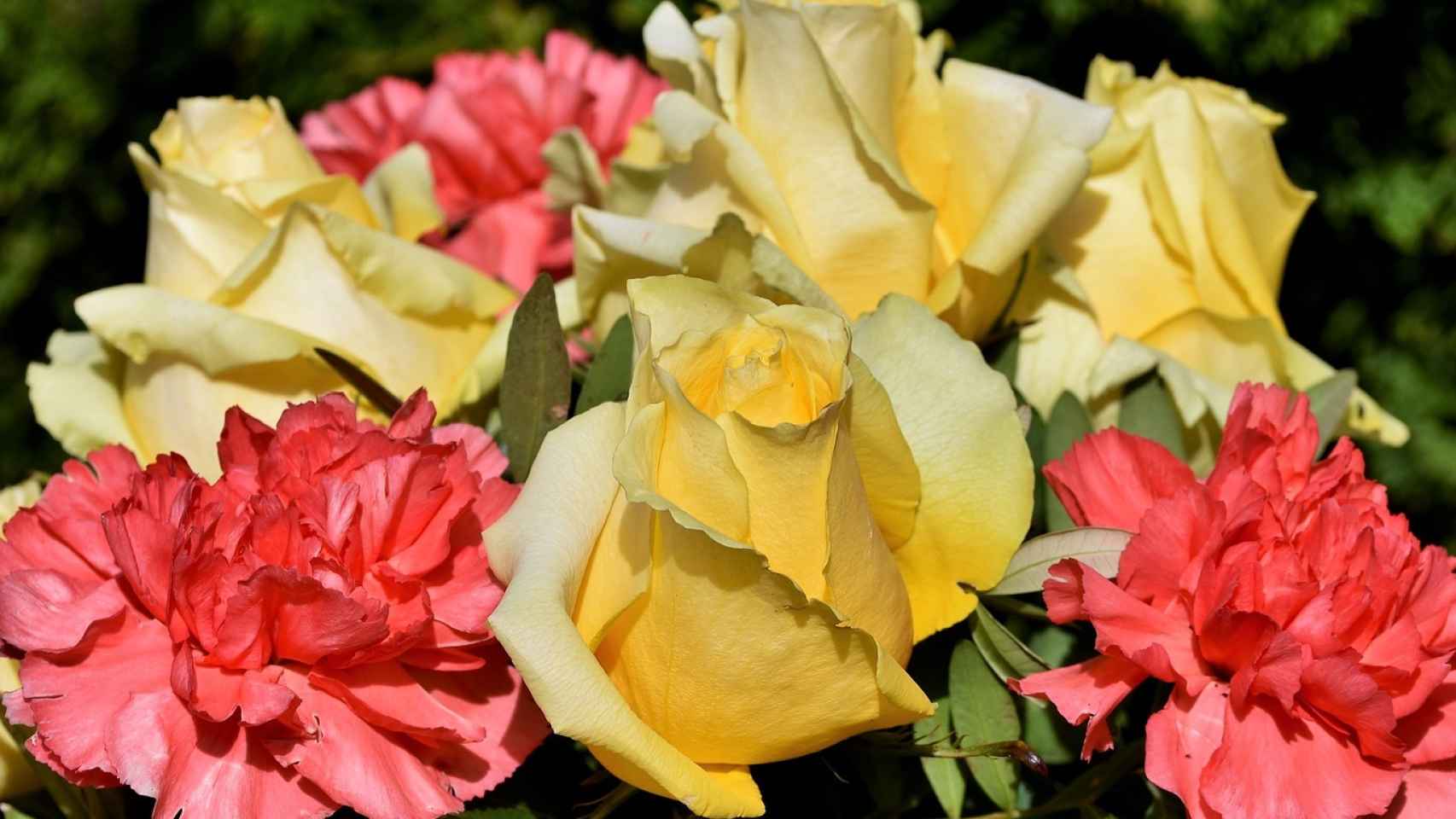Estas son las 10 flores más bonitas para tu hogar