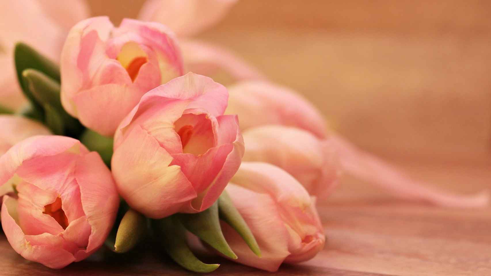 Estas son las 10 flores más bonitas para tu hogar