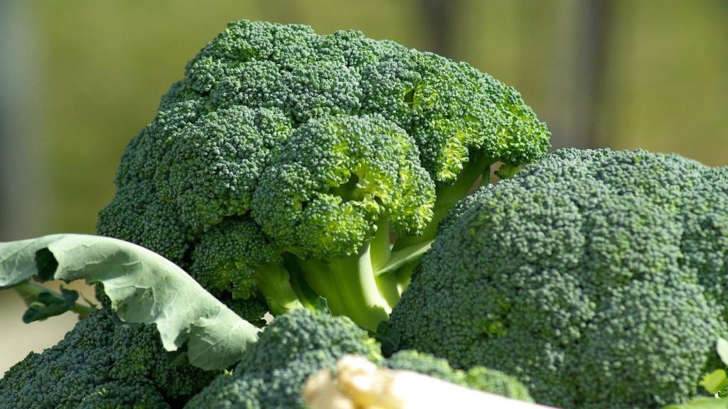 vegetables-673181_1920