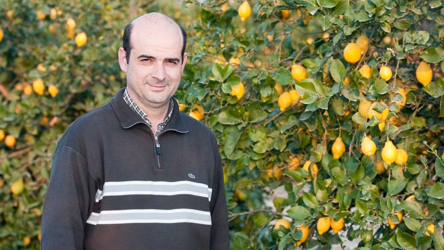 Juan Antonio, productor de limones en Murcia, explica a EL ESPAÑOL las variedades.