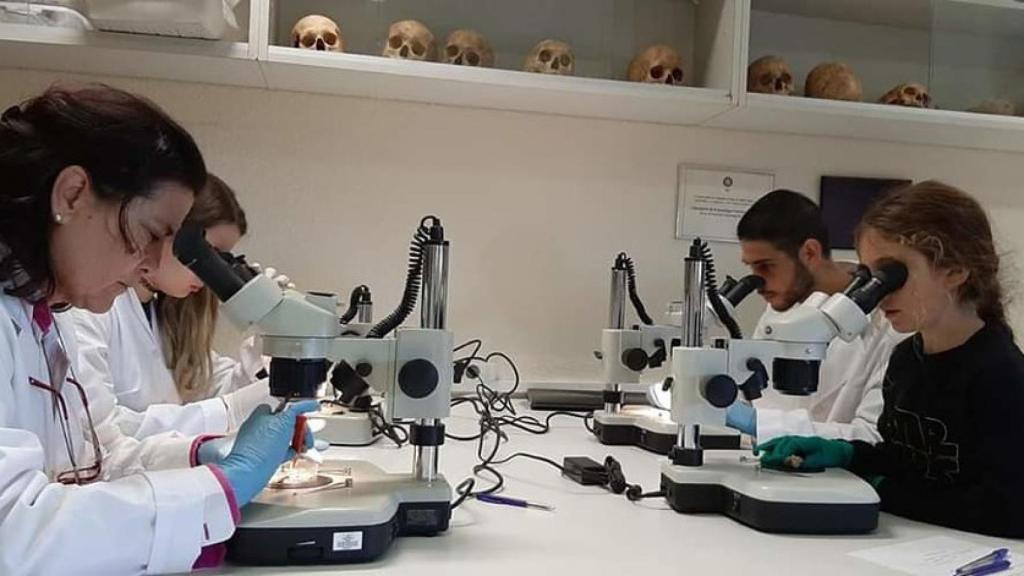 Científicos investigando en España.