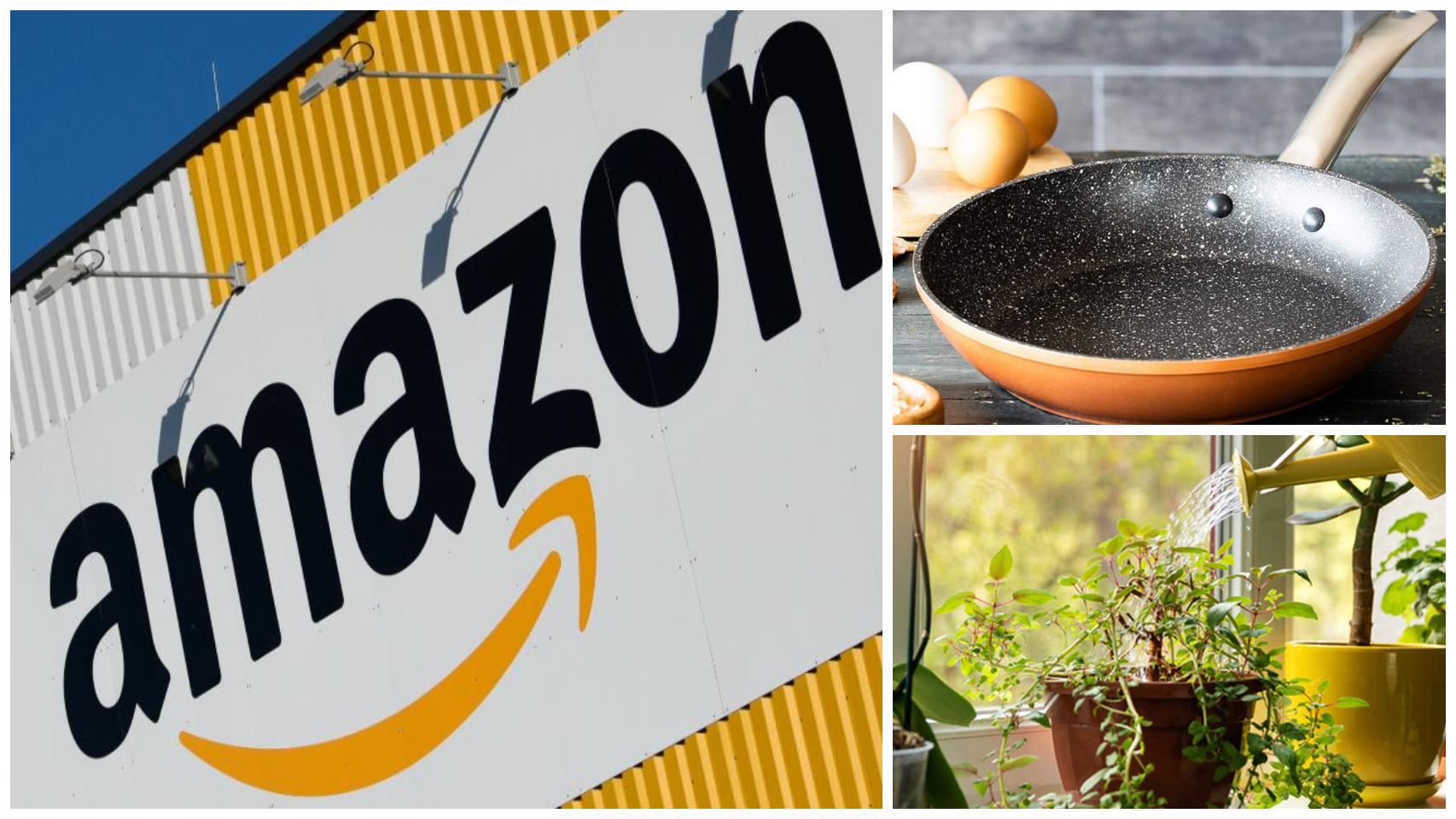 Las polémicas de Amazon: la sartén es un producto de mujer y planta se traduce violación