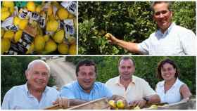 El imperio murciano del limón de Mercadona: de los Poveda a los Pujante, las 4 familias agraciadas