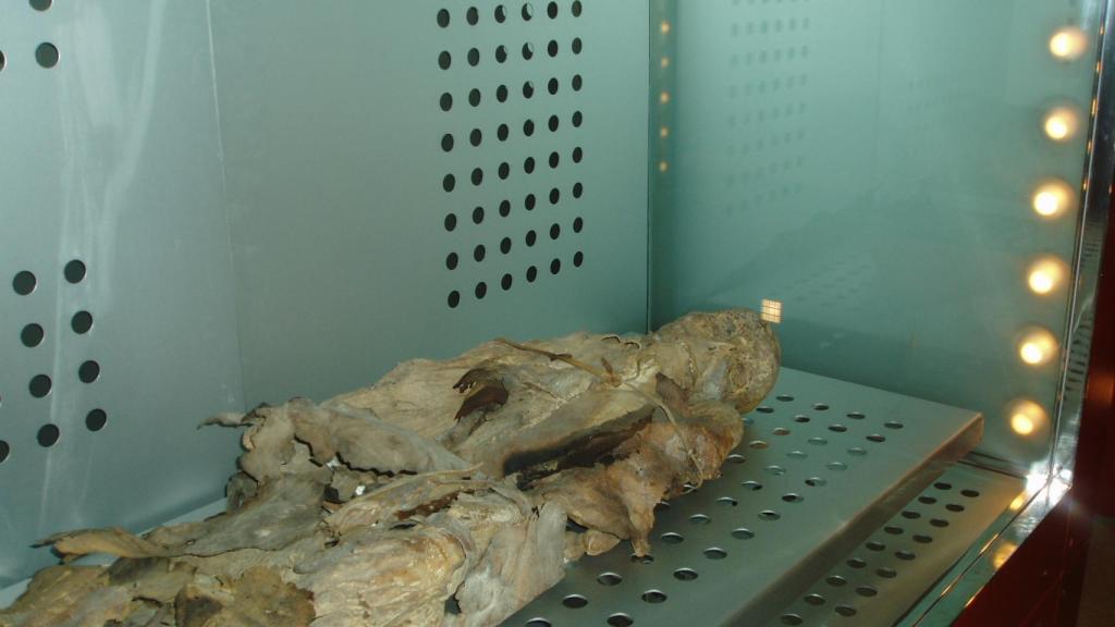 Momia guanche en el Museo de la Naturaleza y el Hombre.