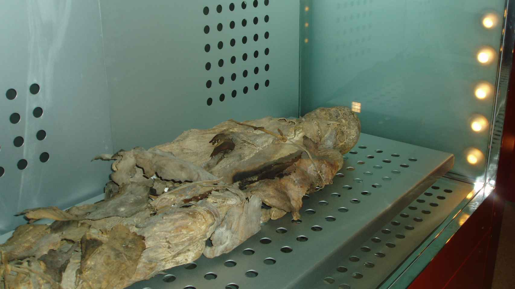 Momia guanche en el Museo de la Naturaleza y el Hombre.