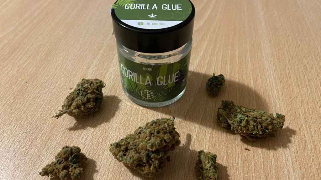 Gorilla Glue strain marijuana