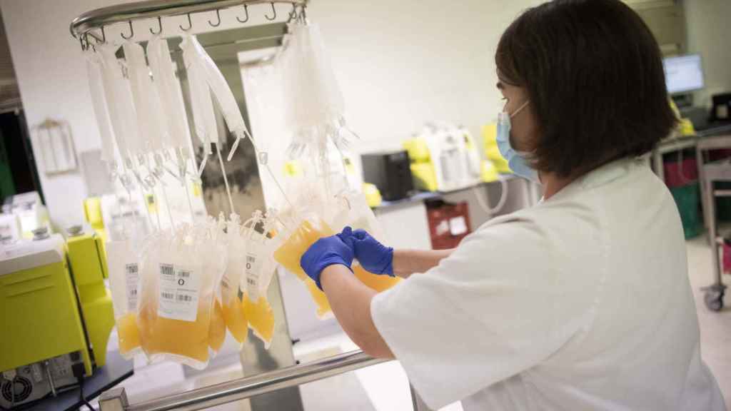 Una trabajadora del centro de transfusiones de Sevilla manipula una bolsa de plasma.