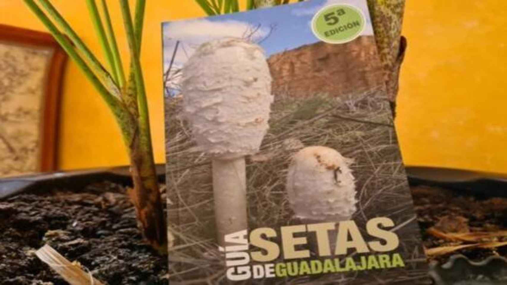 Nueva Guía de las Setas de la Diputación de Guadalajara