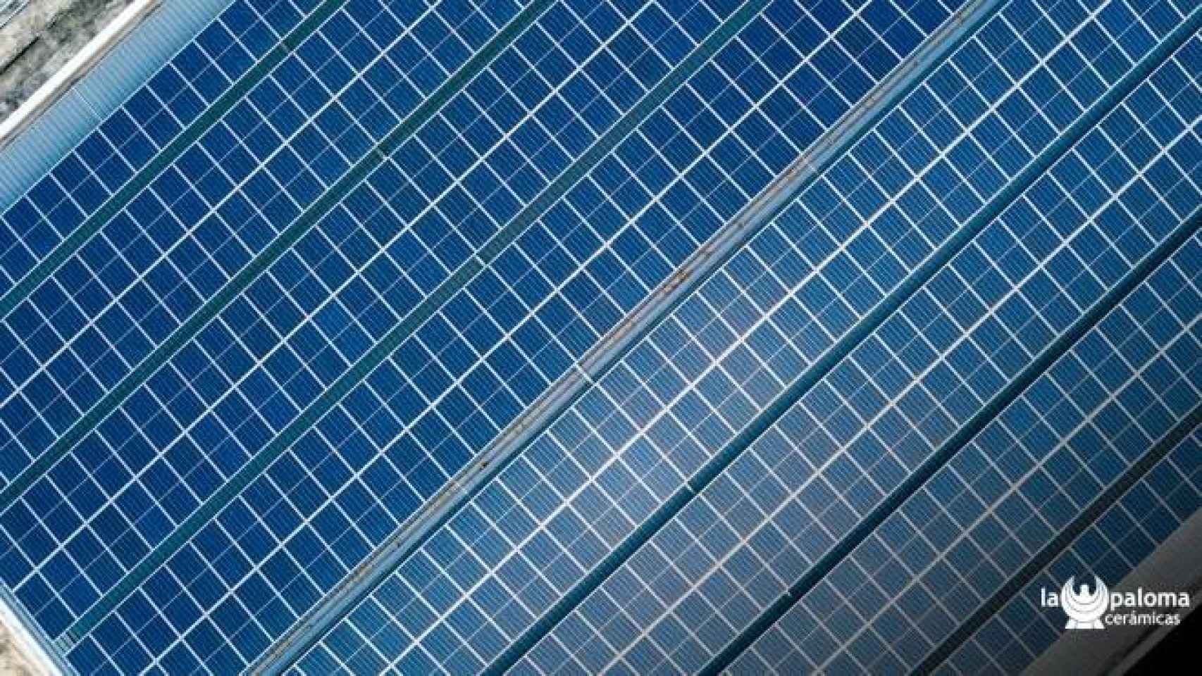 La Paloma Cerámicas ha adoptado un sistema fotovoltaico que evitará la emisión de 3.800 toneladas anuales de CO2 al medio ambiente
