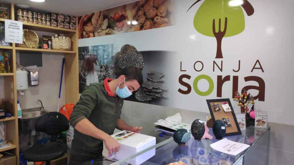 Un trabajador de la lonja micológica de Soria, que vende a través de Compraensoria.com, preparando un envío de setas.