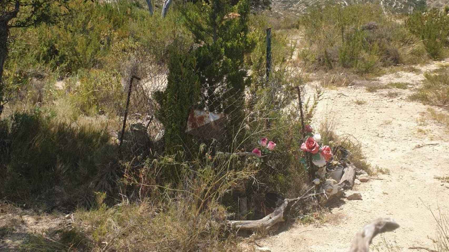 Imagen tomada por Vicente de la fosa de la finca de La Romana donde en 1993 localizaron los cuerpos de las niñas.