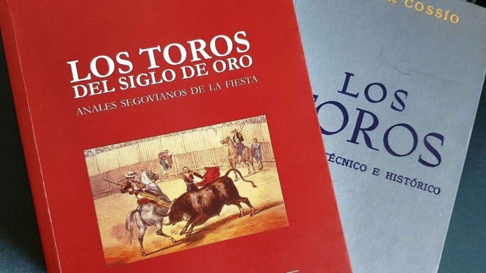 TROFEOS TAURINOS DE TOROS ECONÓMICOS BARATOS