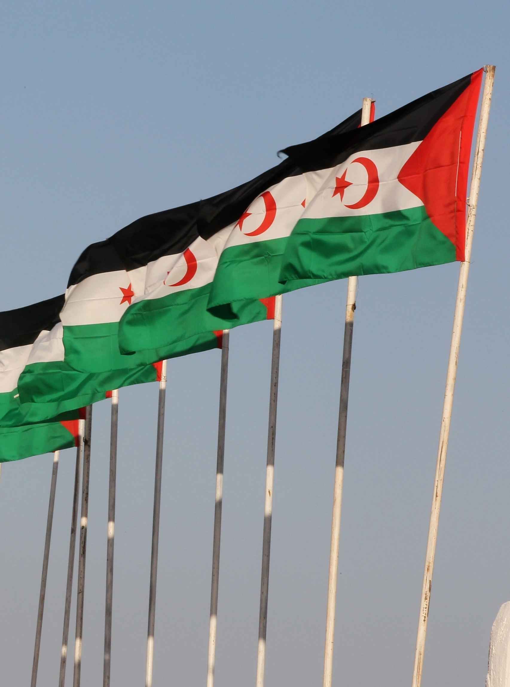 Banderas de la República Árabe Saharaui Democrática.