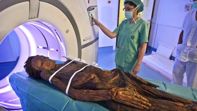 La momia guanche sometiéndose a una Tomografía Axial Computarizada en el Hospital Quirón de Madrid.