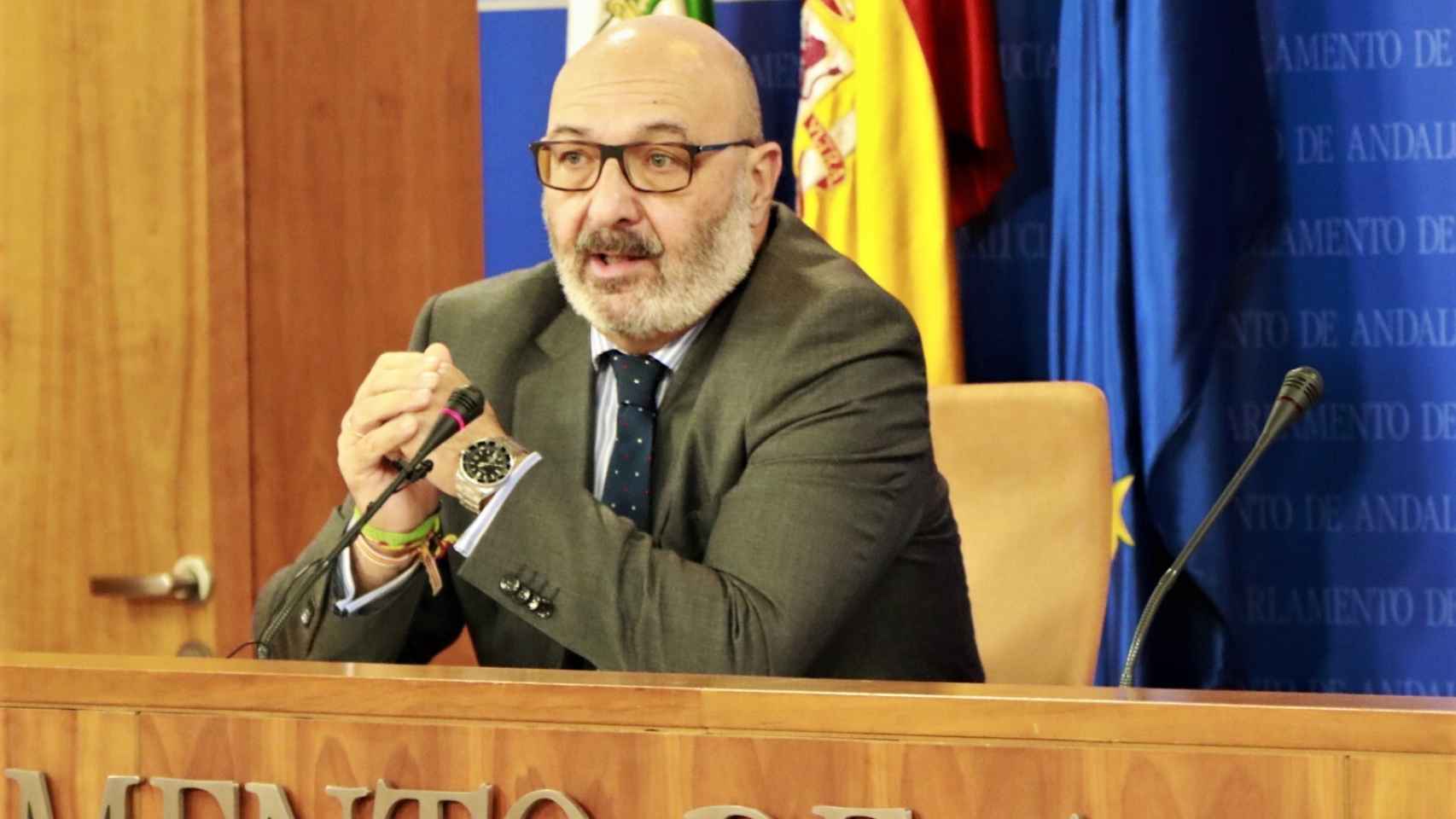 El portavoz de Vox en Andalucía, Alejandro Hernández.