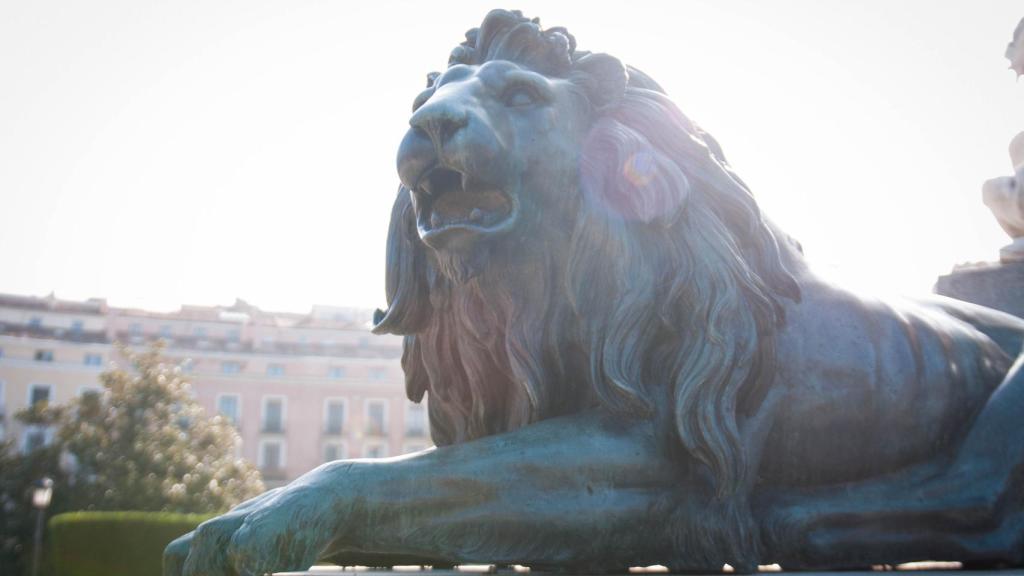 Recorremos los leones de Madrid… símbolos de EL ESPAÑOL y del Seat León