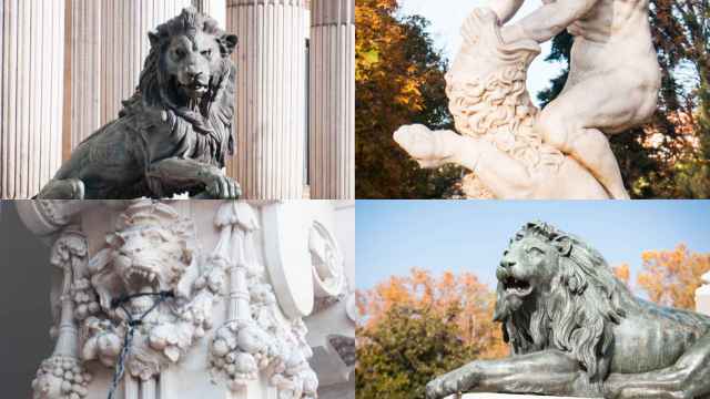Madrid, ciudad de los leones: un recorrido por 10 figuras para celebrar 5 años
